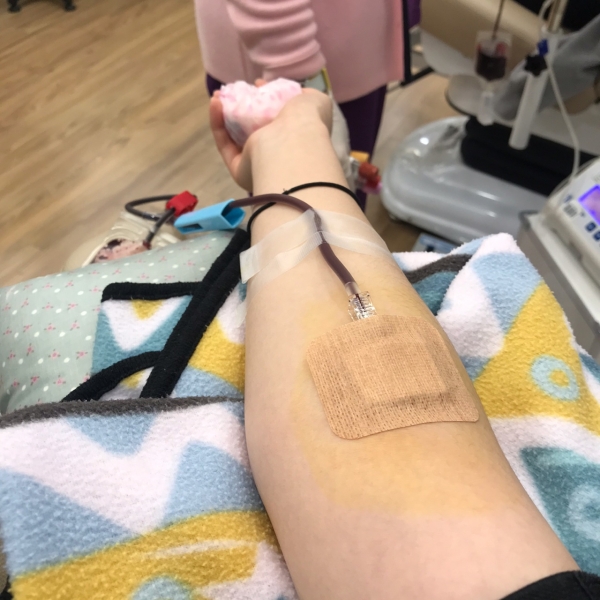헌혈 인증샷 출처: 필자 직접촬영