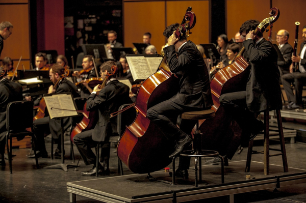 * 말러(G.Mahler)와 교향곡, Pixabay